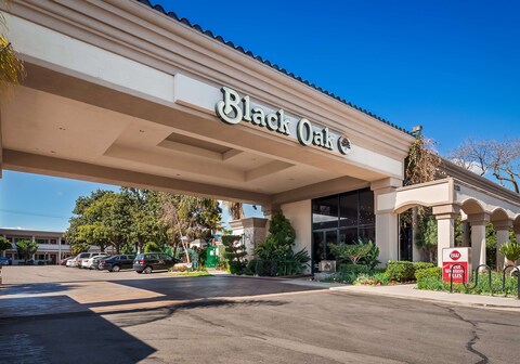 Best Western Plus Black Oak