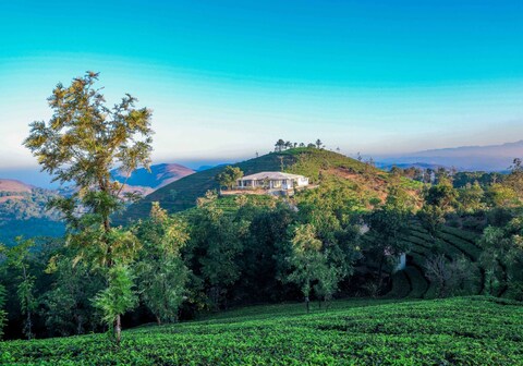 Cotton Hill Bungalow by VOYE HOMES