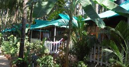 Able Cressida, Goa Able Cressida, Goa