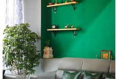 NATURE SCAN, Bangalore NATURE SCAN, Bangalore