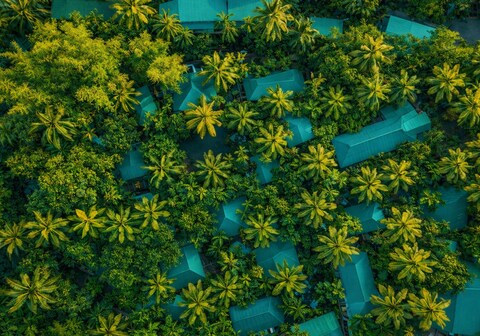 Palm Grove Eco Resort