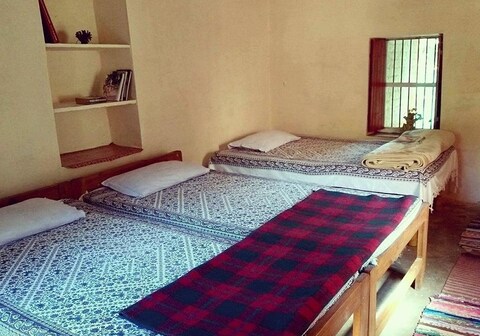 Eco Harryman's Kingfisher (Room for Three)