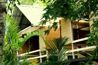 Muthanga Wild Tusker Resort, Wayanad Muthanga Wild Tusker Resort, Wayanad
