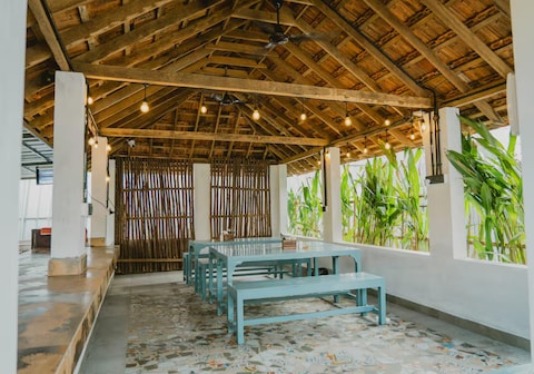 Seashells and Stories Varkala