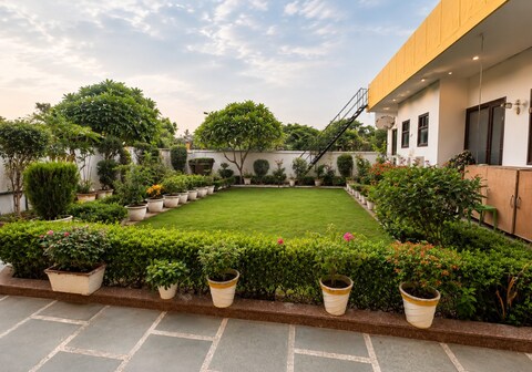 Lime Tree Studios | Huda/Fortis/Max