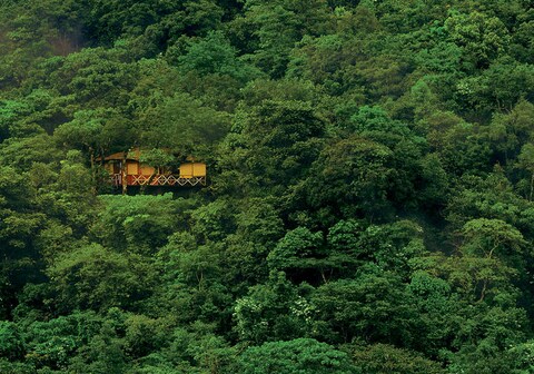 Vythiri Resort