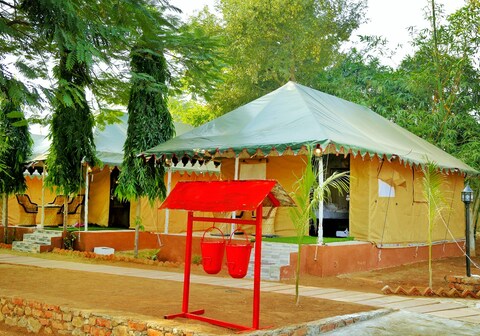 The Jungle Lap, Sariska