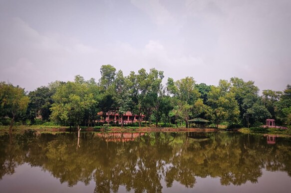 The Bagh Forest Retreat