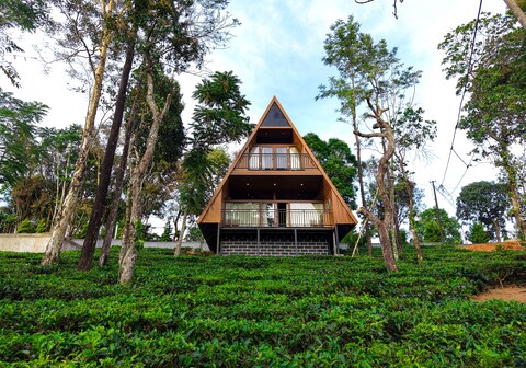 RAIN FOREST BY DWELLSMITH VIRTUE GROUP