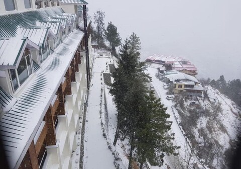 The Mocana Himalayas, Shimla