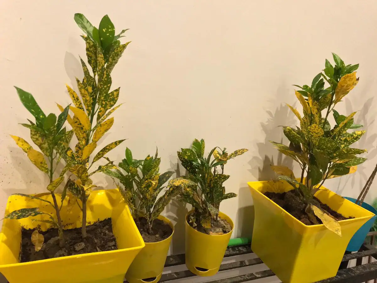 Egarden 2BHK | Smart & Cozy Balcony Apartment