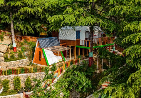 Wildland Adventure CampTree House