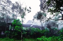 Wayanad Wild- Cgh Earth, Wayanad Wayanad Wild- Cgh Earth, Wayanad