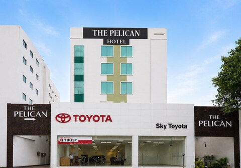 The Pelican