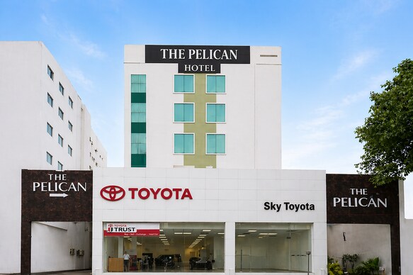 The Pelican