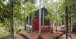 Eden HomeStay, Gokarna Eden HomeStay, Gokarna