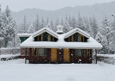 The Alpine Hut