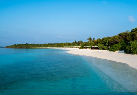 The Barefoot Eco Hotel