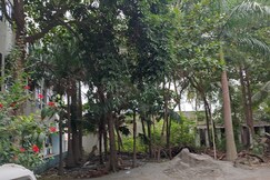 AMMAYI HOTEL RESORTS, Tiruvannamalai AMMAYI HOTEL RESORTS, Tiruvannamalai