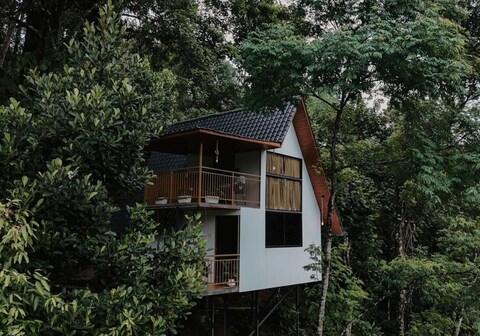 Wild Stories Resort