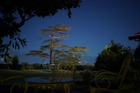 Hotel Springfields, Shimla Hotel Springfields, Shimla