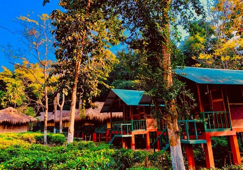Nature Hunt Eco Camp
