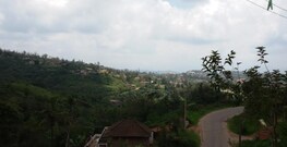 Thimaiah Homestay, Coorg Thimaiah Homestay, Coorg