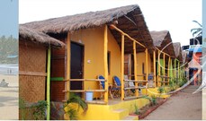 Molly's Nest , Goa Molly's Nest , Goa