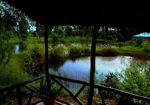 Tiger Lagoon Bandhavgarh National Park