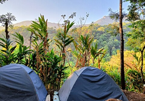 Hidden Valley Campsite