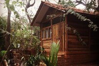 Namaste jungle, Goa Namaste jungle, Goa