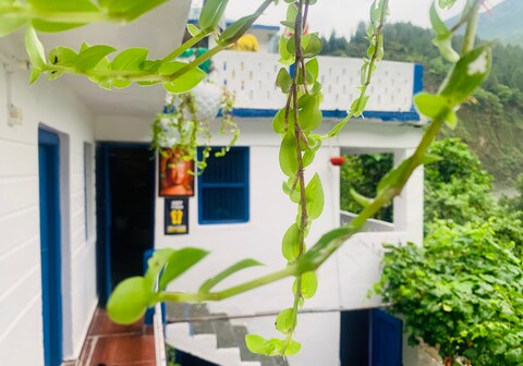 Couple Home A Traditional 1 Bedroom Apartment