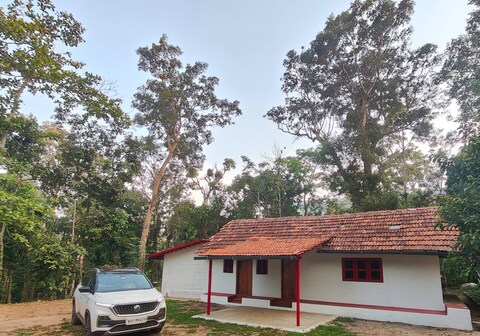 Coorg Farmscape - Coffee Estate