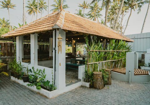 Seashells and Stories Varkala
