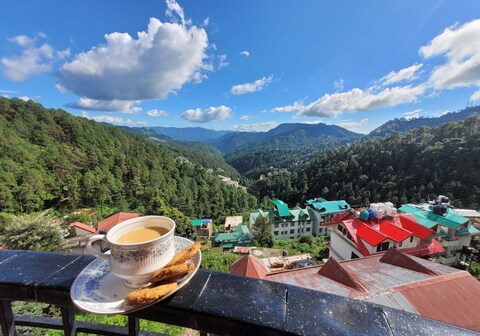 Pine Paradise Homestay