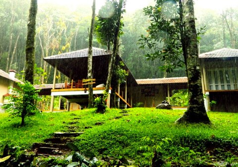Lanternstay Jungle Resort