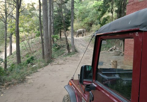 Secret Valley Jungle Resort