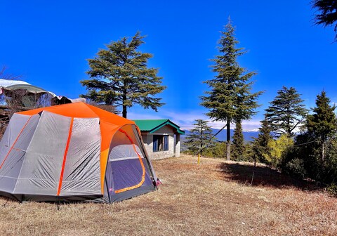 Wilderness Camp Shitlakhet