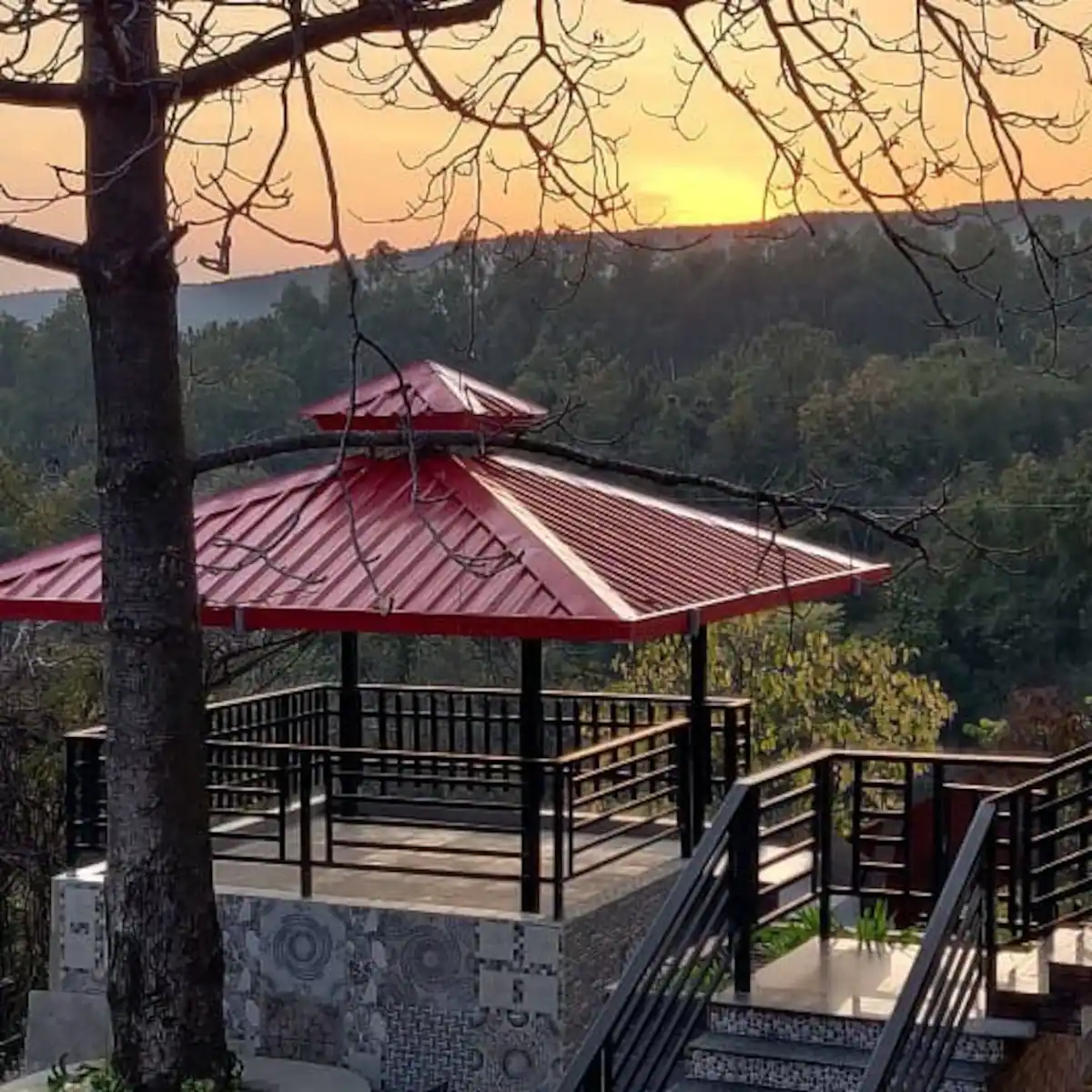 Into the Wild Homestay (Within the City Limits)