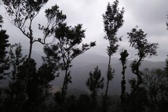 Evergreen Alukatte Homestay, Coorg Evergreen Alukatte Homestay, Coorg