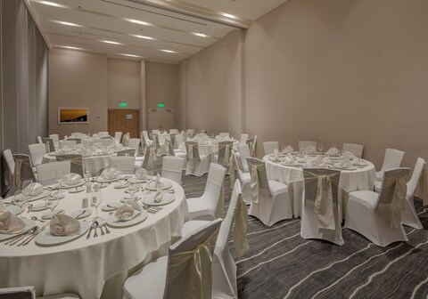 Holiday Inn & Suites Aguascalientes