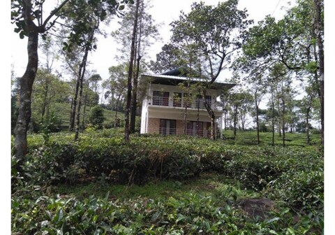 Green Valley Tea House