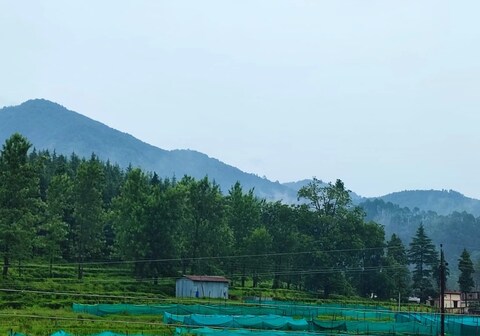 Hill View Mansion Homestay