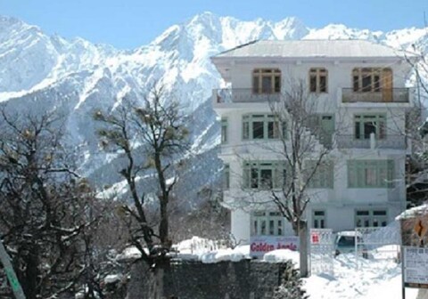 Tab Exotic Golden Apple