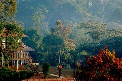 Eletaria Resort Thekkady | Best Cardamom Plantation Experience, Kattappana Eletaria Resort Thekkady | Best Cardamom Plantation Experience, Kattappana