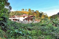 Aashirwad Home Stay - Abby Falls Road, Coorg Aashirwad Home Stay - Abby Falls Road, Coorg