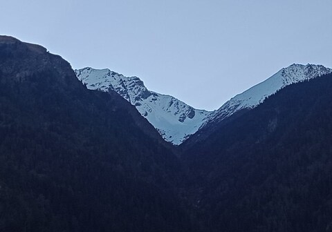 Hill View Homestay With Apple Garden View