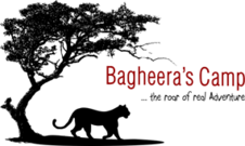 Bagheera Camp, Pali Bagheera Camp, Pali