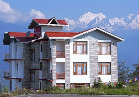 RETREAT CRASSULA OVATA