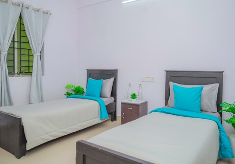 Z Express Renaissance